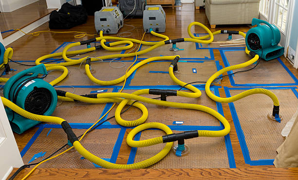 Professional Crawl Space Water Removal technician working in Clio, MI