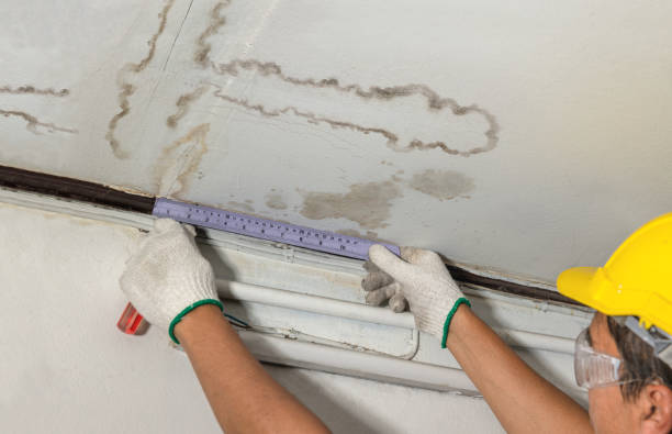 Affordable Water Damage Repair solutions in Clio, MI